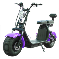 EEC COC new big wheel citycoco 2000w electric scooter